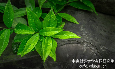 中央財經(jīng)大學同等學力申碩達到多少分才算通過考試？