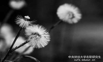 想上中央財經(jīng)大學(xué)在職研究生去哪里報名？
