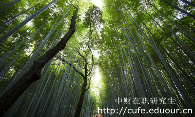 中財人力資源管理在職研究生學制幾年？